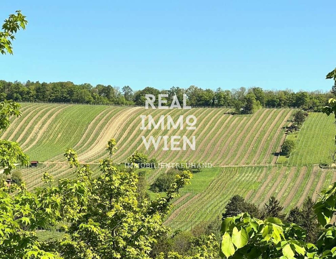 Stilvolle Maisonette in Toplage - inklusive Garten und Weinbergblick