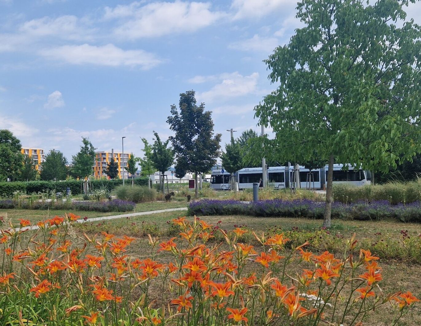 Top Wohnung im Wohnpark in Wetzelsdorf mit Tiefgarage