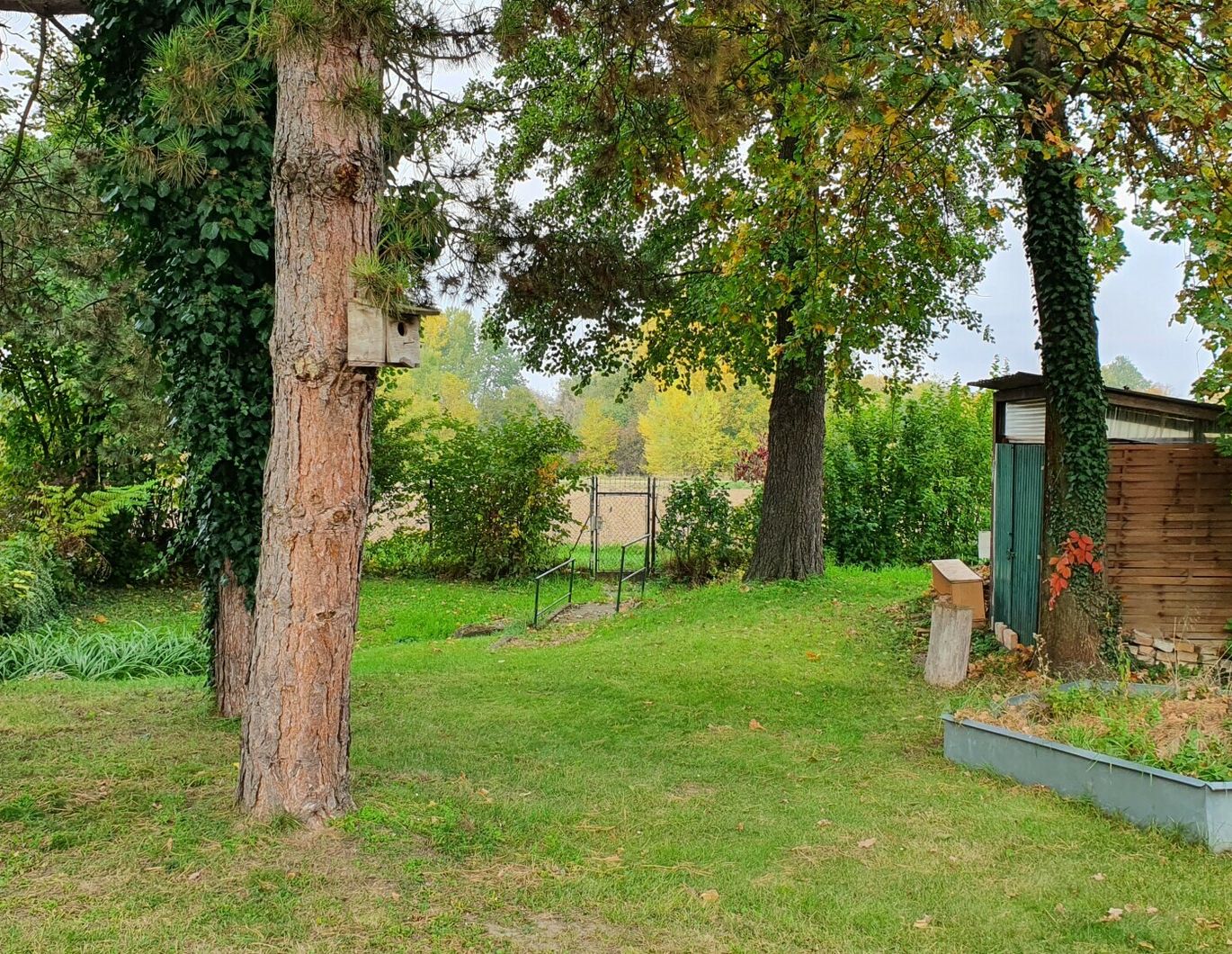 Preisreduktion! Haus mit uneinsichtigen Garten direkt an der Stadtgrenze zu Mistelbach