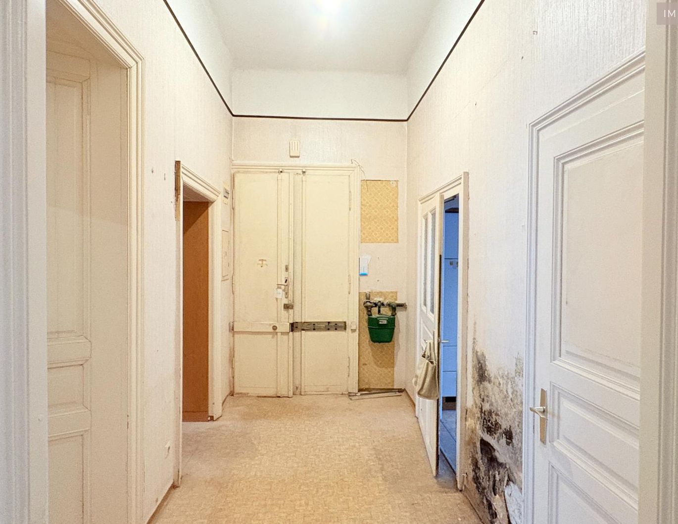 Top Preis Leistungsverhältnis nah dem Servitenviertel/Clusiusgasse, sanierungsbedürftig, ca. 68,47 m², Hofruhelage!
