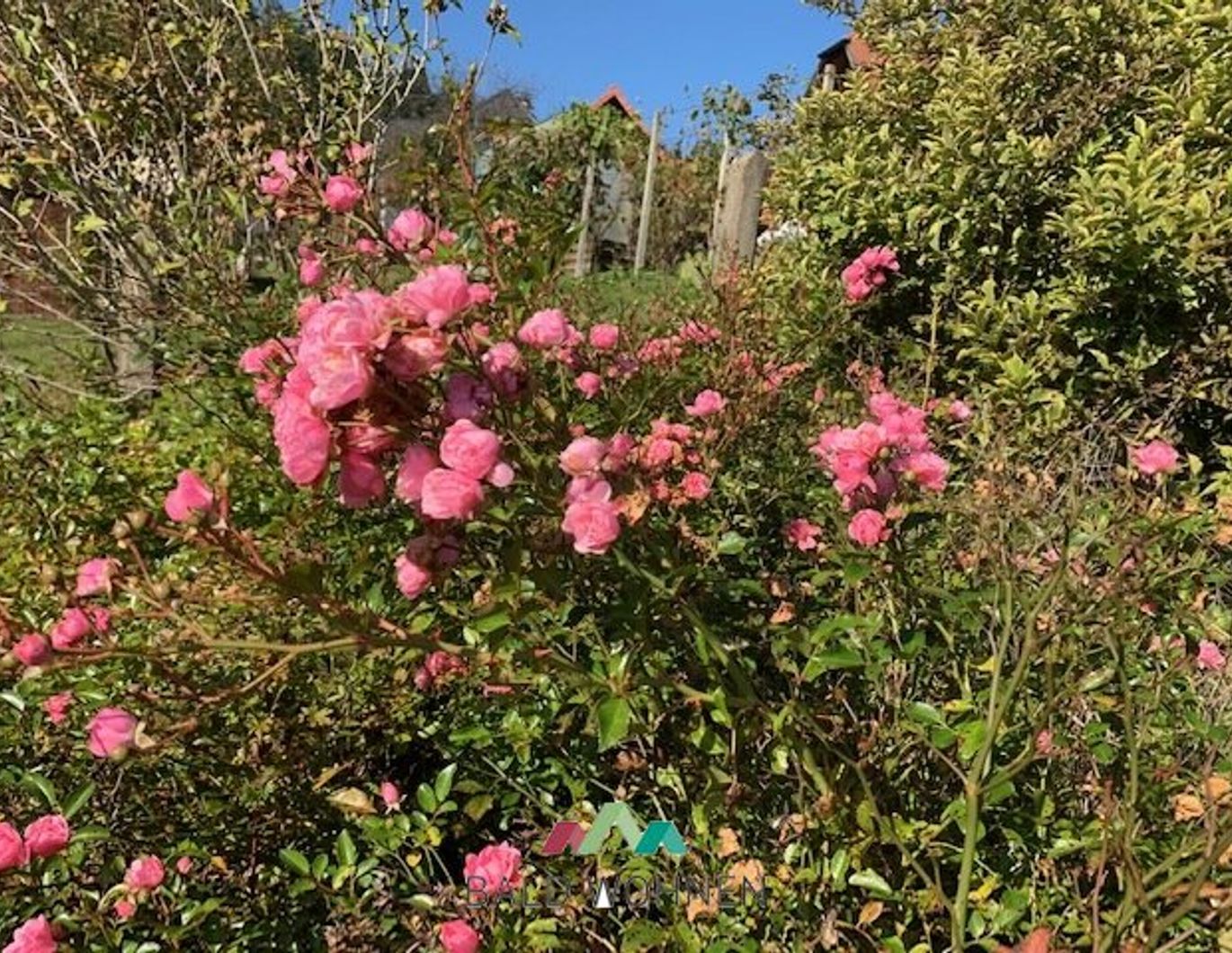 Ländliches Reihenhäuschen, teilmöbliert, modernisiert, in 8551 Wies: 465 € Miete, excl.BK; excl.Strom - 63 m², sonniger Garten, überdachte kleine Terrasse, Waldumgebung