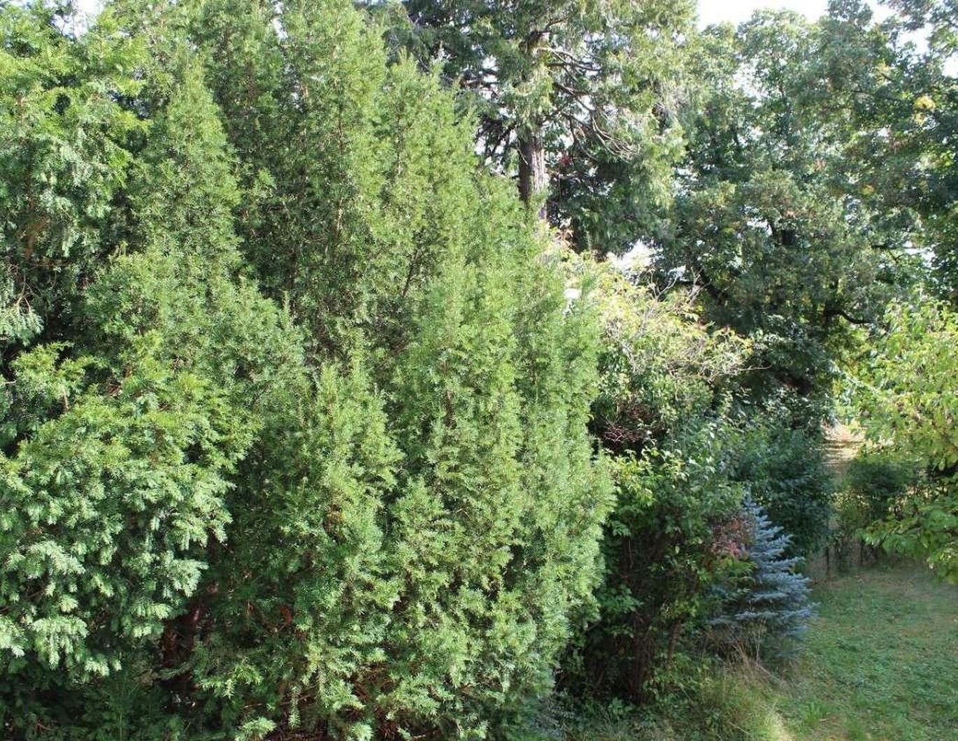 Exklusives teilmöbliertes Eigentumsobjekt in Zweifamilienwohnhaus (Mauer im Grenzbereich 13. Bezirk)