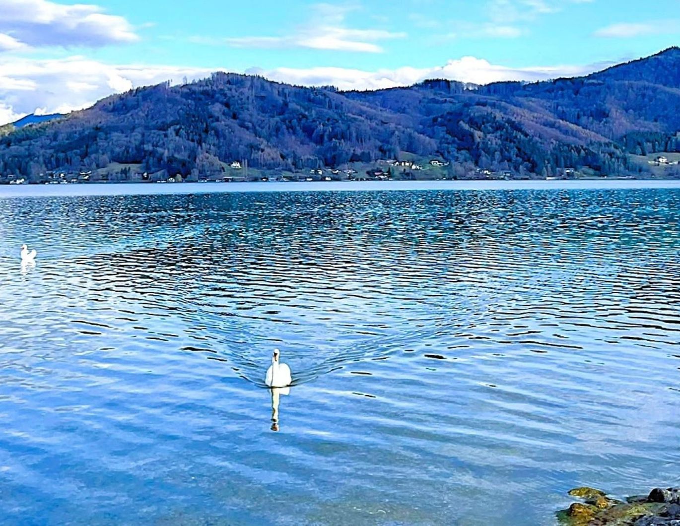 HAUS am ATTERSEE - PRIVAT