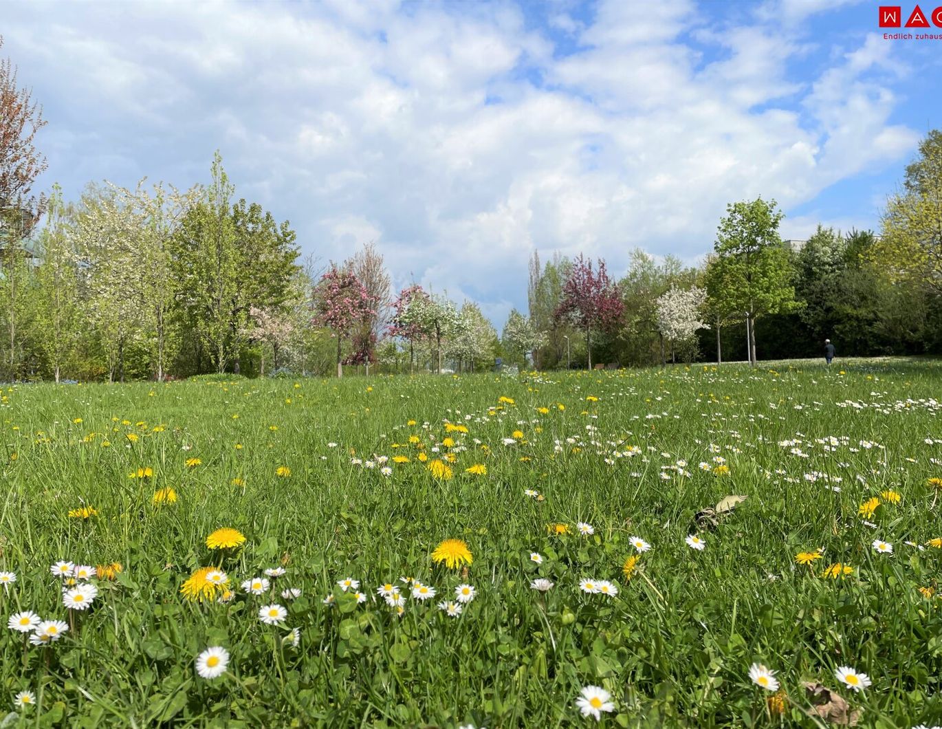 Quartier am Park: Barrierefreie Wohnung im obersten Stock mit Ausblick
