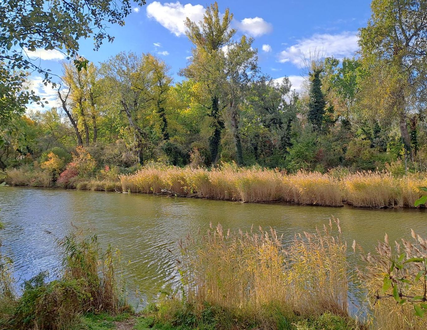 IDYLLISCHE LAGE NAHE 