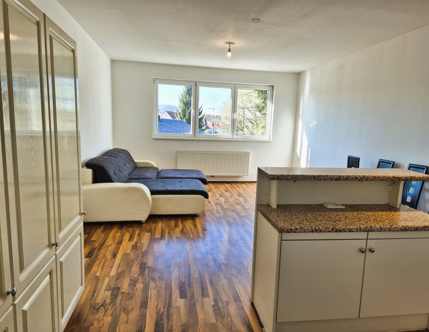 3-Zimmer Wohnung im Bezirk Puntigam