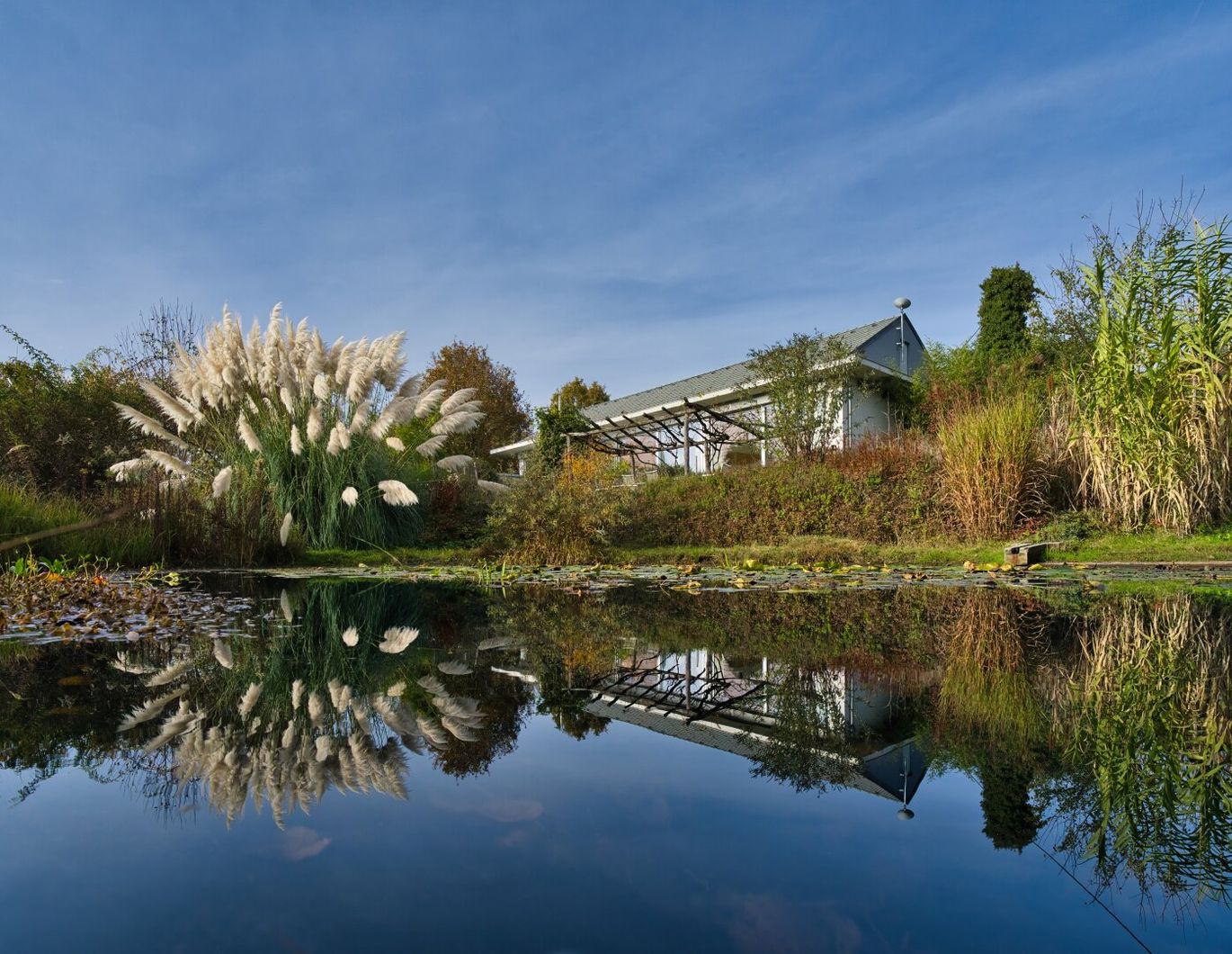Exklusives Naturrefugium in Sotina, Slowenien - Luxus trifft Nachhaltigkeit!