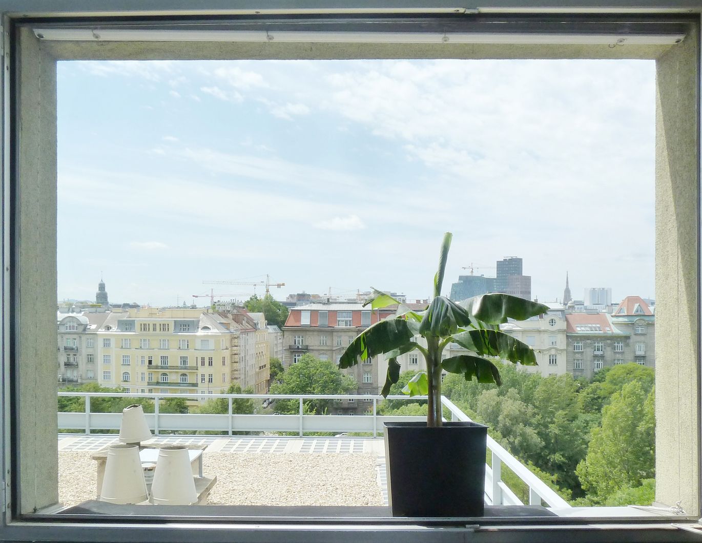 Blick über ganz Wien.