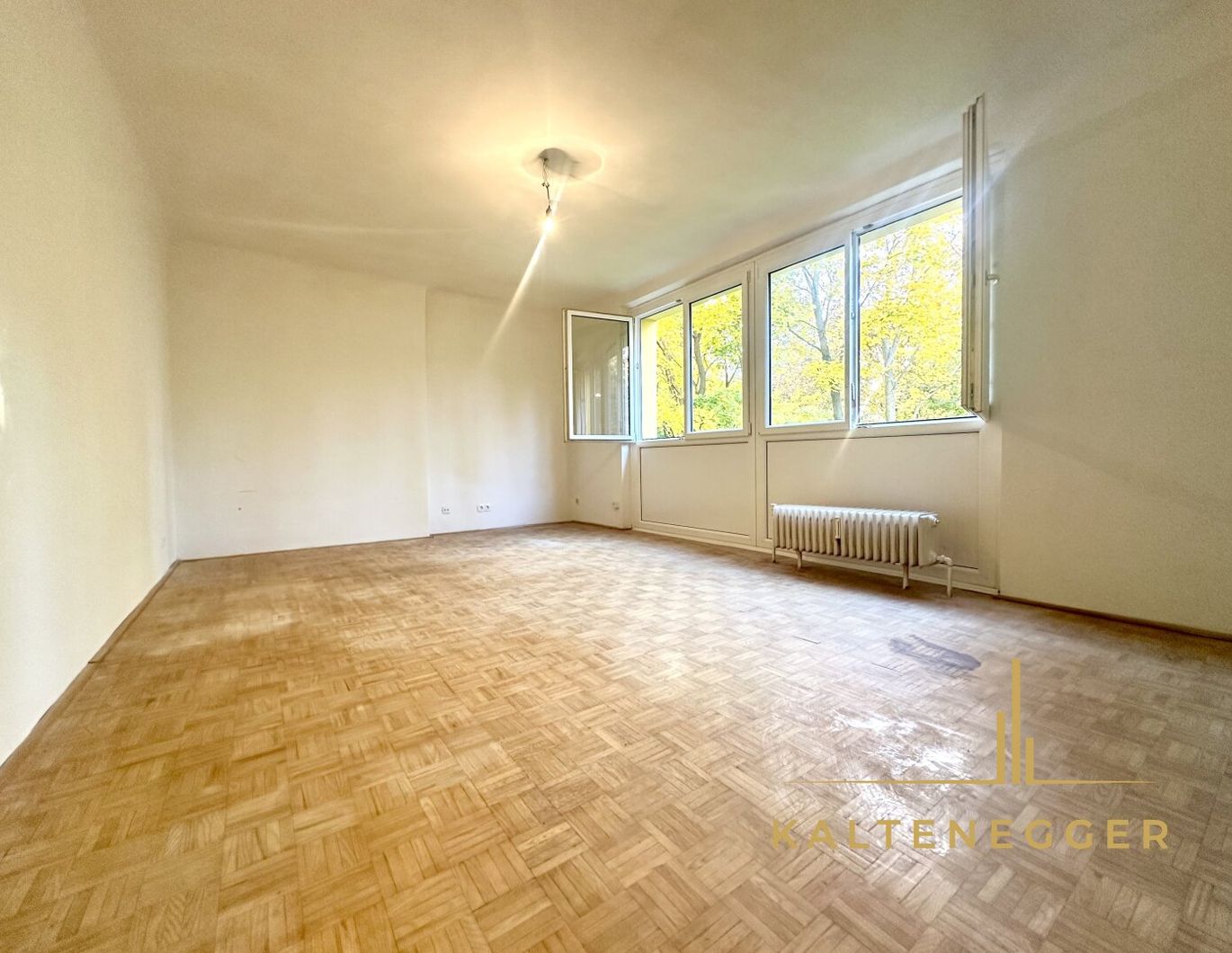 Helle 1-Zimmer Wohnung nahe Zentrum