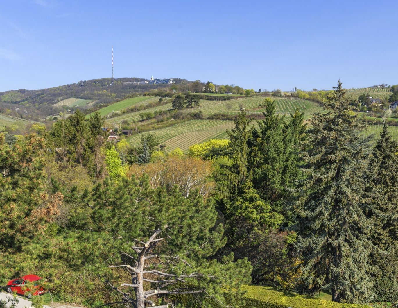 Penthouse mit Blick in die Weinberge