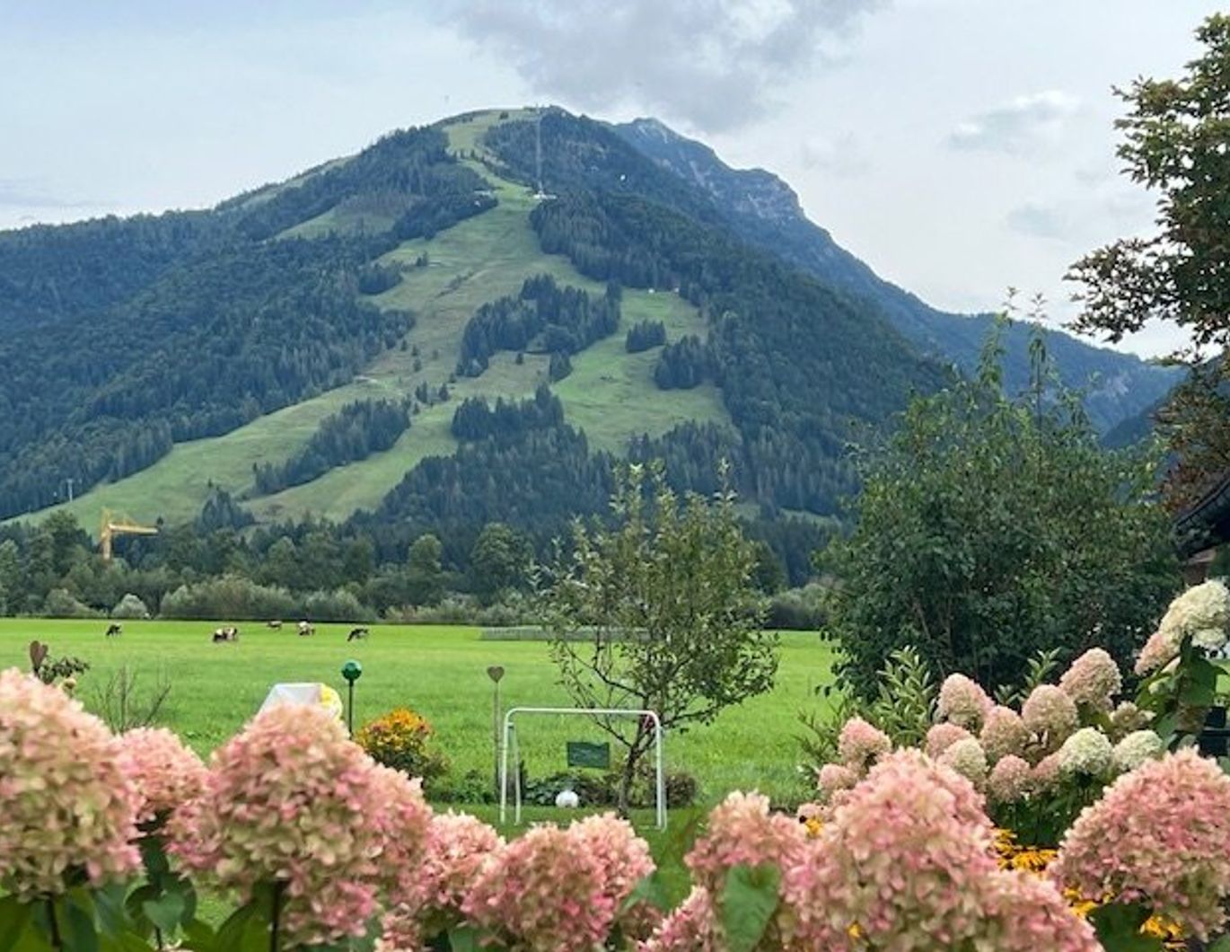 Wohnen, wo andere Urlaub machen - 4 Zimmer-Gartenwohnung mit großer Terrasse in Kössen