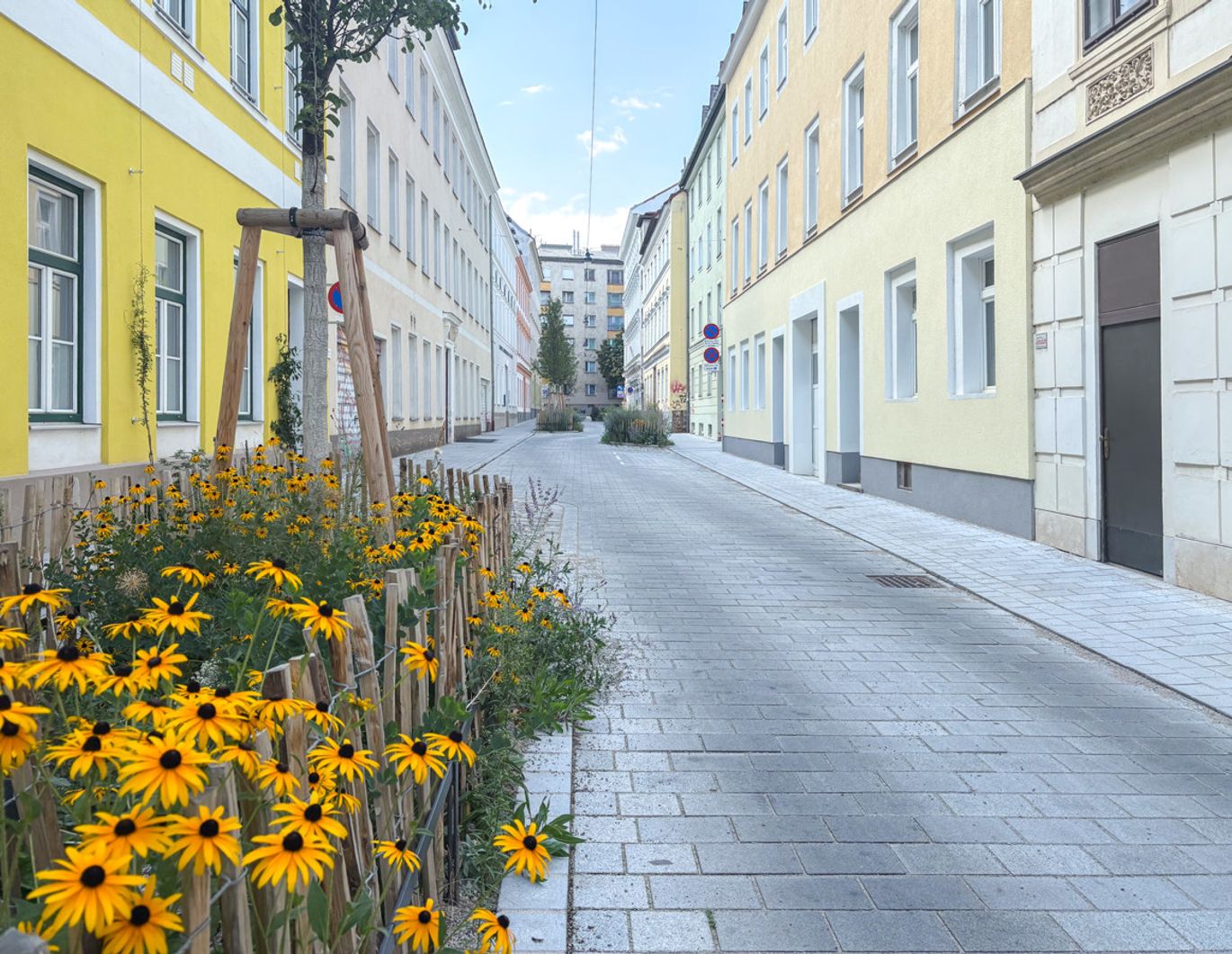 Altbauwohnung mit italienischem Flair in klimafreundlicher Wohnstraße