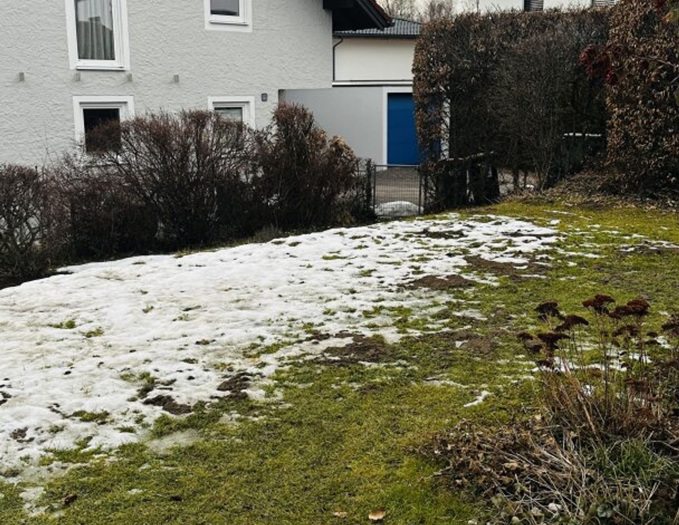 Wohnen im Grünen mit Stadtnähe - 3-Zimmer-Wohnung in Bergheim