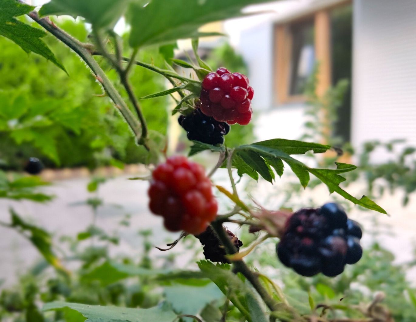 Hoher Wohngenuss in Innsbruck-Arzl, 3 Zimmer-Gartenwohnung