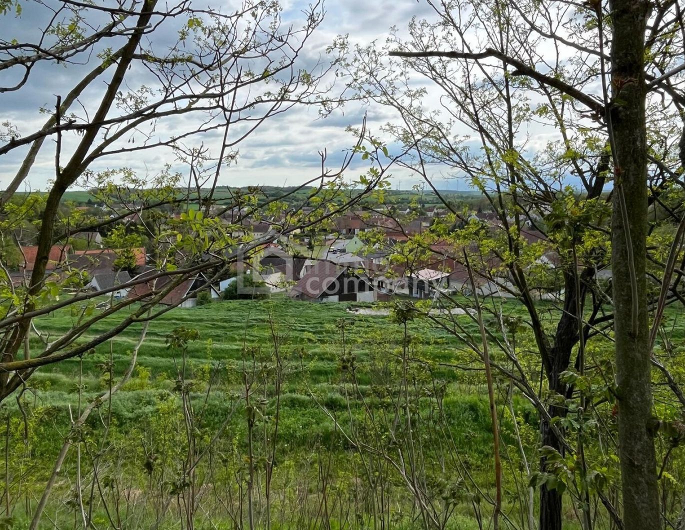 Verborgener Schatz im Reintal - ein Weinviertler Wohnjuwel mit Potenzial