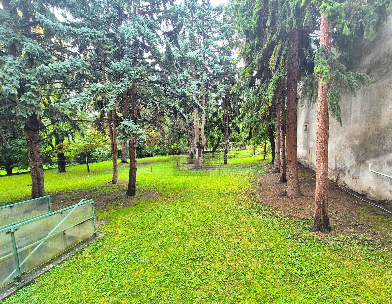 WOHNOASE MIT GRÜNBLICK UND WOHLFÜHLATMOSPHÄRE