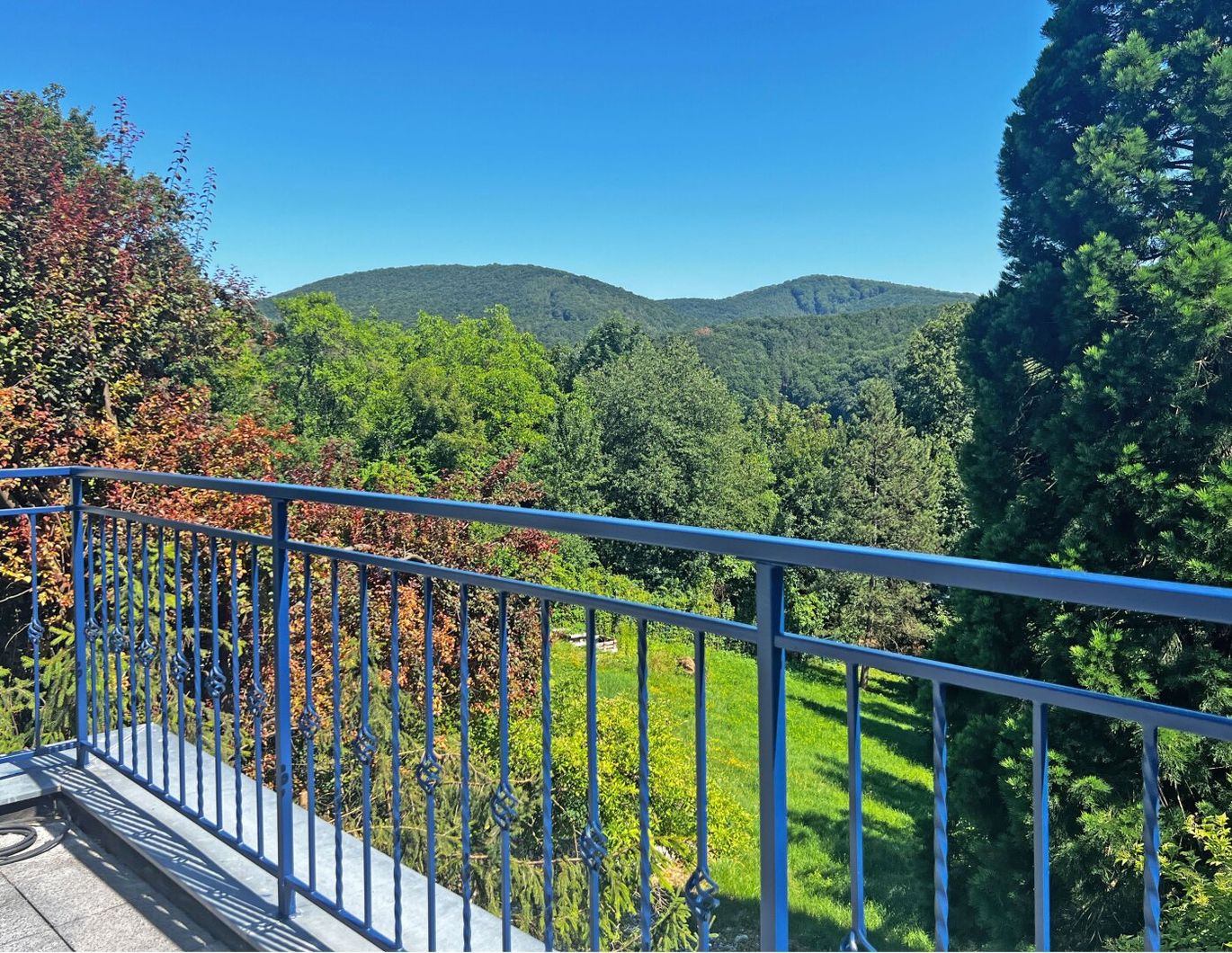 Charmante 5-Zimmer Villenetage mit traumhafter Terrasse und Wienerwaldblick am Sagberg