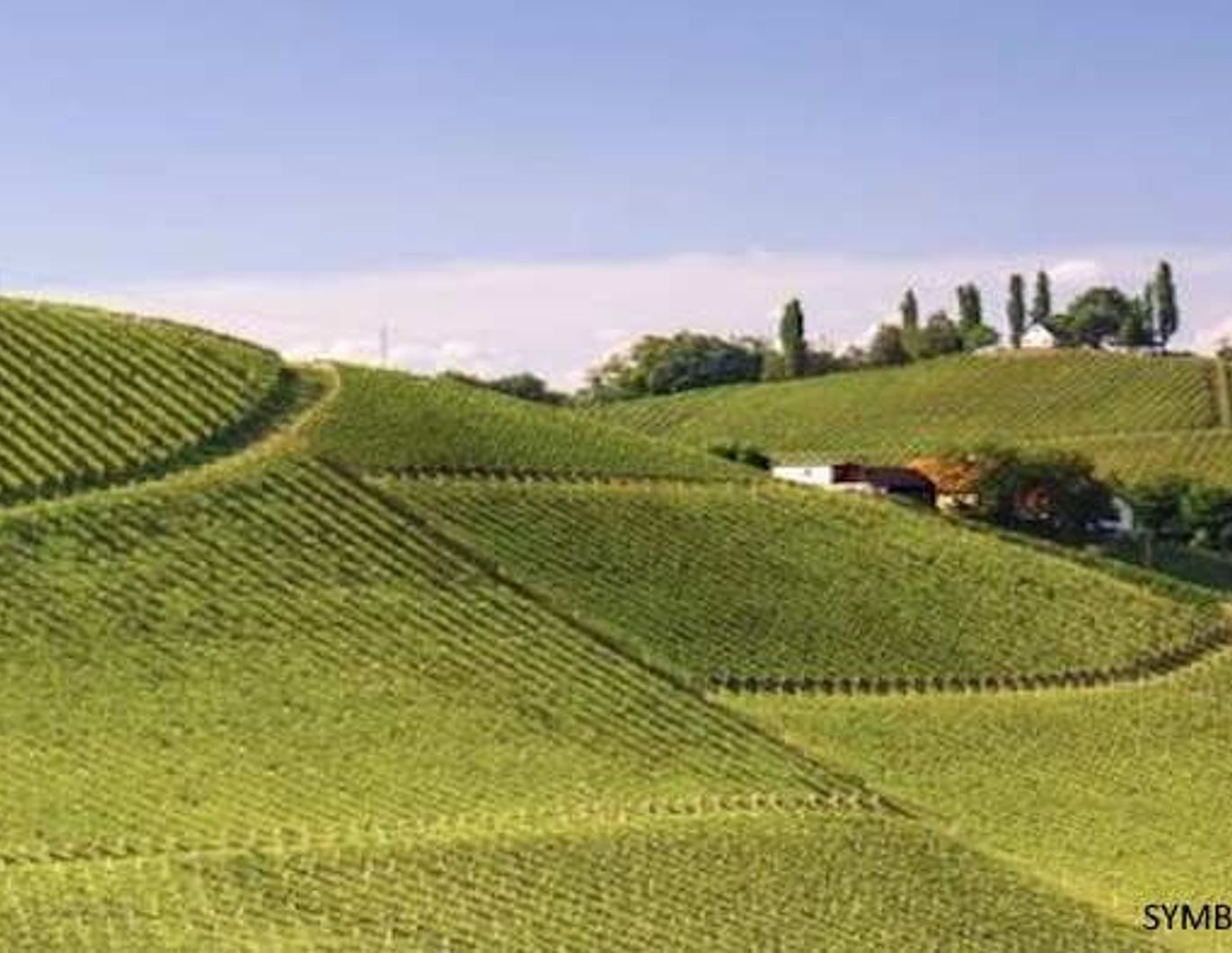 SÜDSTEIERMARK: atemberaubender Rundumblick, malerische Alleinlage, Wohnen, Weinbau, Wald, Teich
