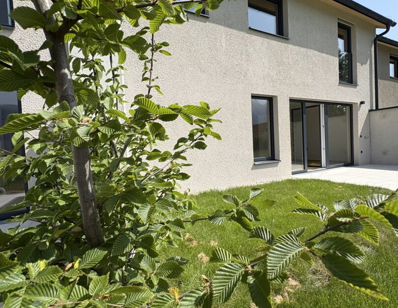 Der Sonne entgegen - Wohnen auf hohem Niveau - Haus 1