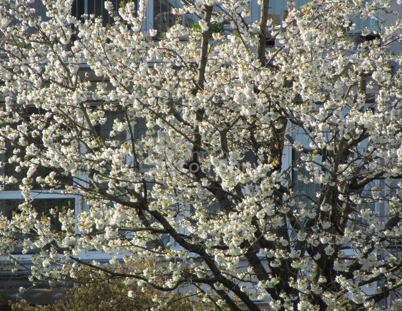 Schöne und große Wohnung. - Sonnig, tolle Aussicht !
