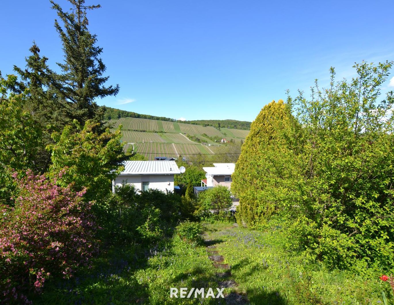 Kleingartenidylle mit Weinbergblick - nettes Sommerhäuschen mit Potenzial für Neubau! Digitales Angebotsverfahren!