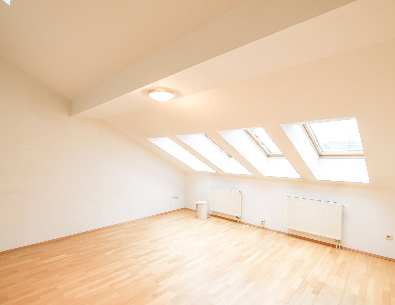 1-Zimmer-Altbau mit Terrasse