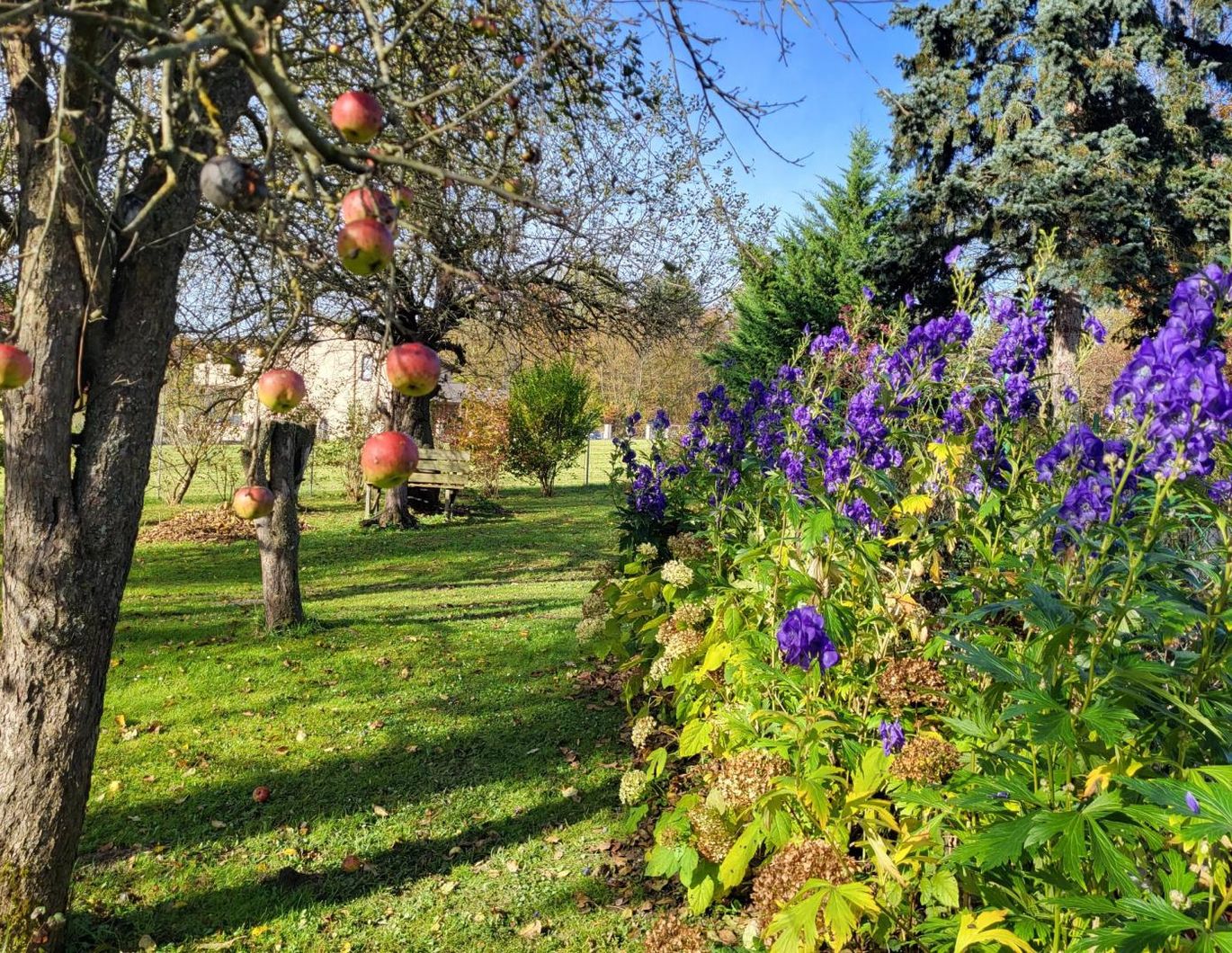 IDYLLISCHER LANDSITZ AUF ca. 3200m² BAULAND-AGRARGEBIET MIT VORRÜBERGEHENDEM WOHNRECHT ZU VERKAUFEN.