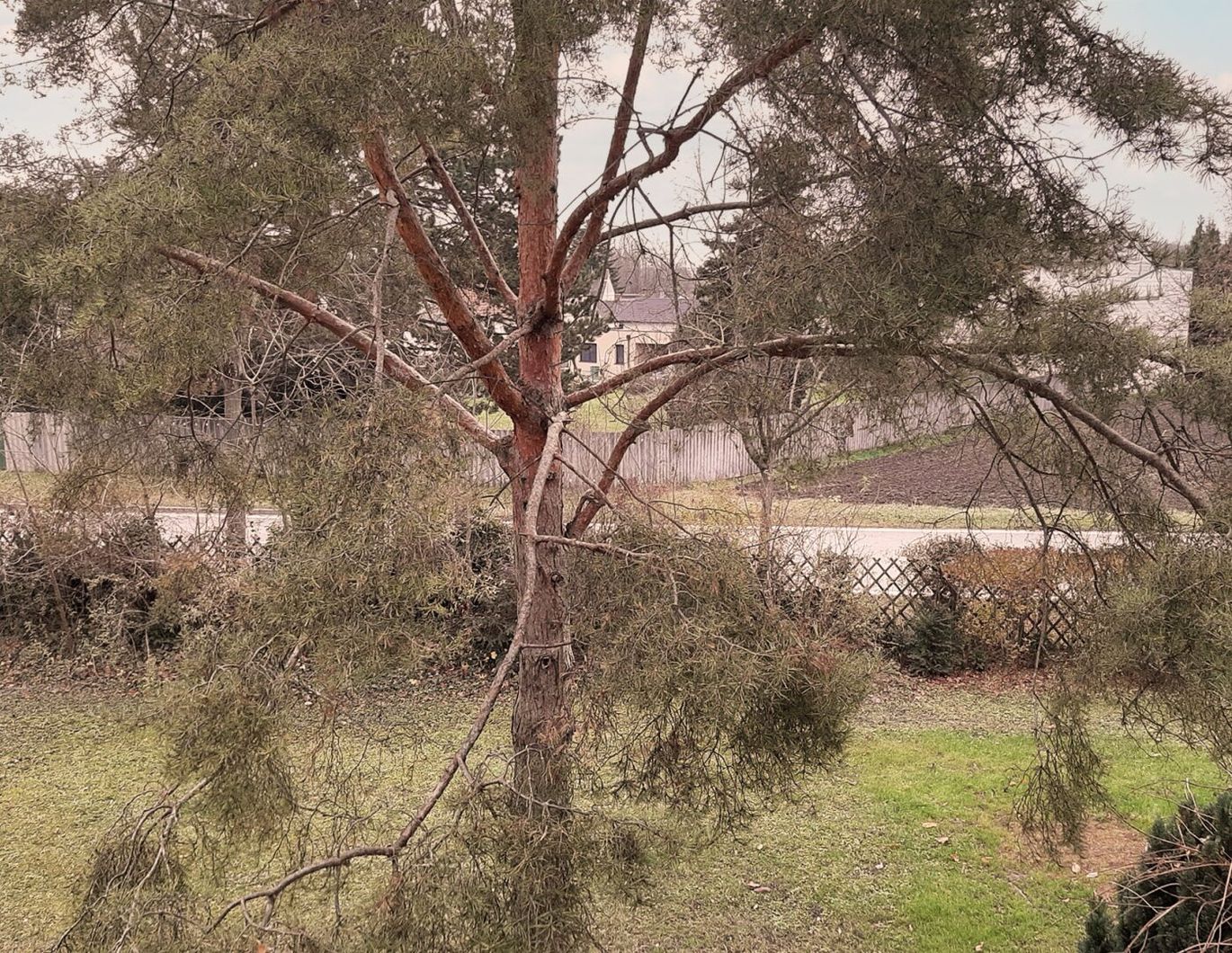 Geräumige 4-Zimmer-Wohnung mit Loggia in Trautmannsdorf - Nähe Badesee!