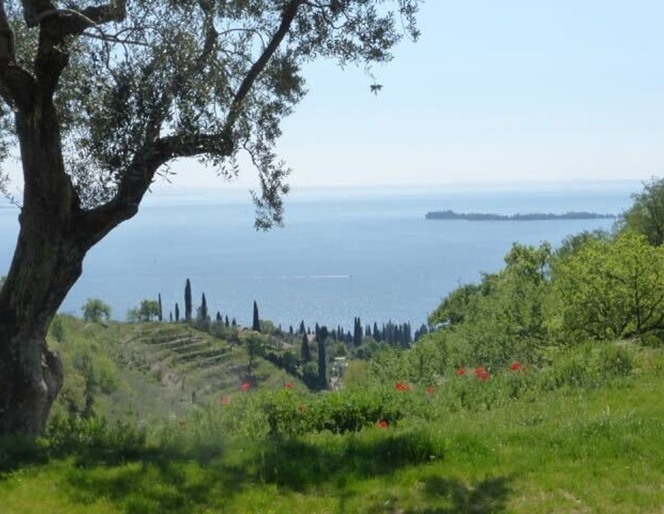 GARDASEE - TRAUMLAGE MIT PANORAMA-BLICK AM WESTUFER (GARDONE RIVIERA): RUSTICO & NEUBAU ZU VERKAUFEN
