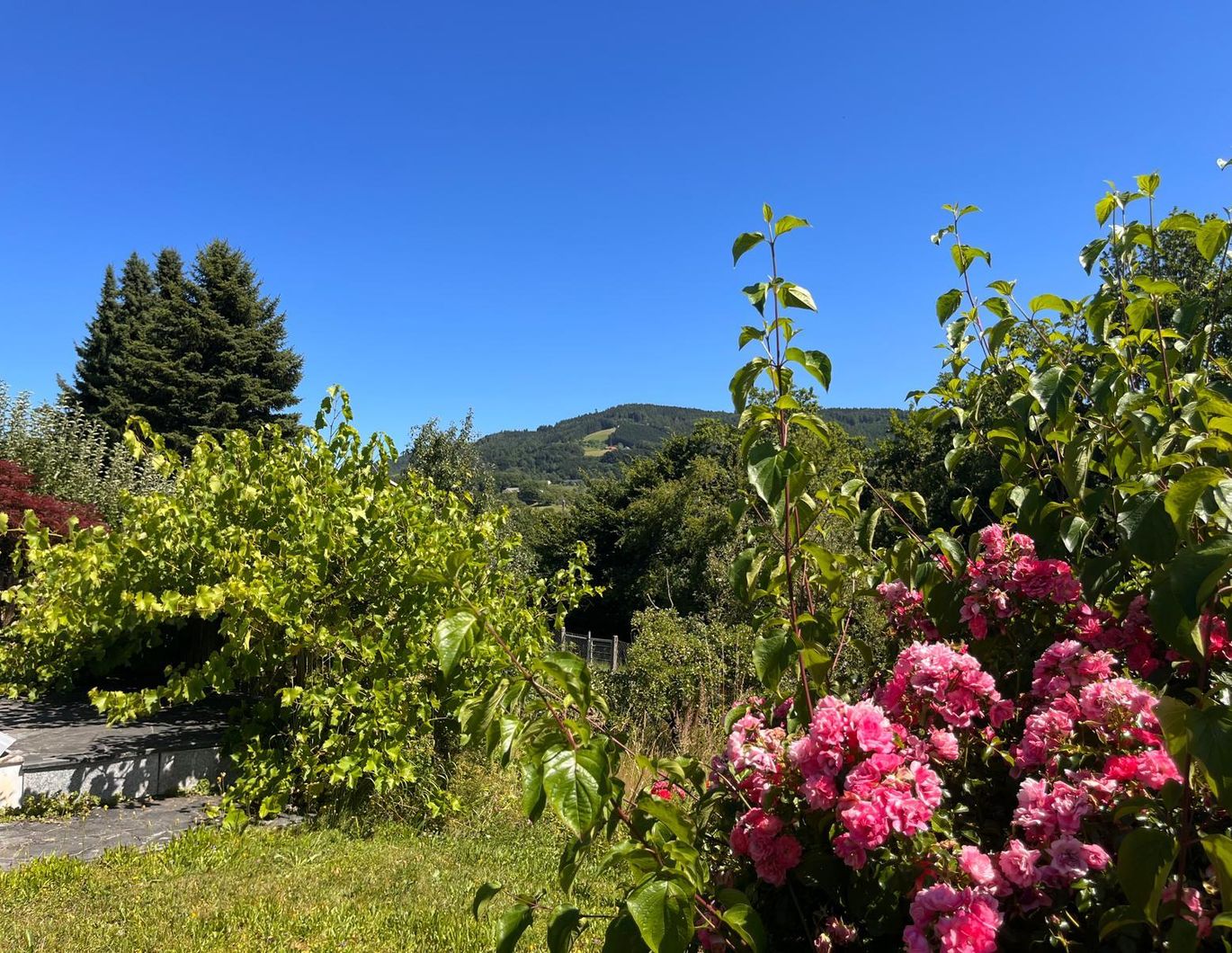 Exklusive Lage mit Dambergpanorama