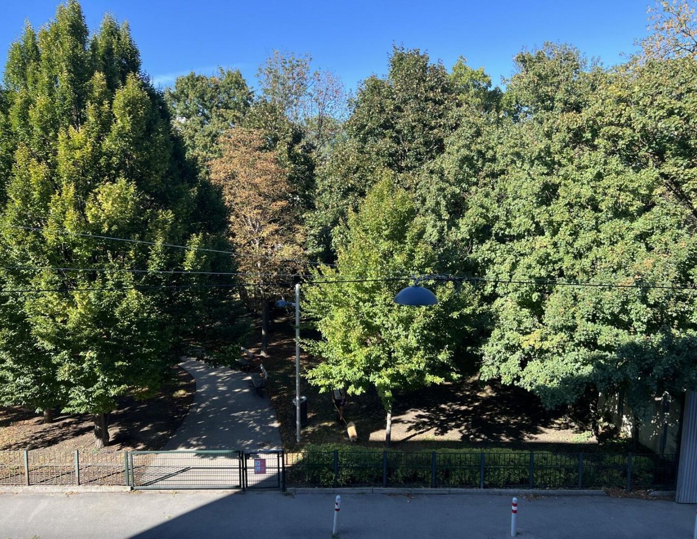 Single oder Pärchenwohnung in zentraler Lage, sehr gute Anbindung an Bus und Bahn