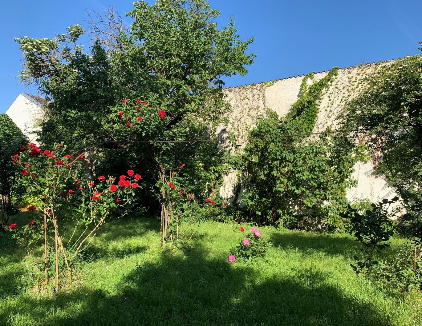 Bürgerhaus Mitten im Zentrum mit romantischem Garten