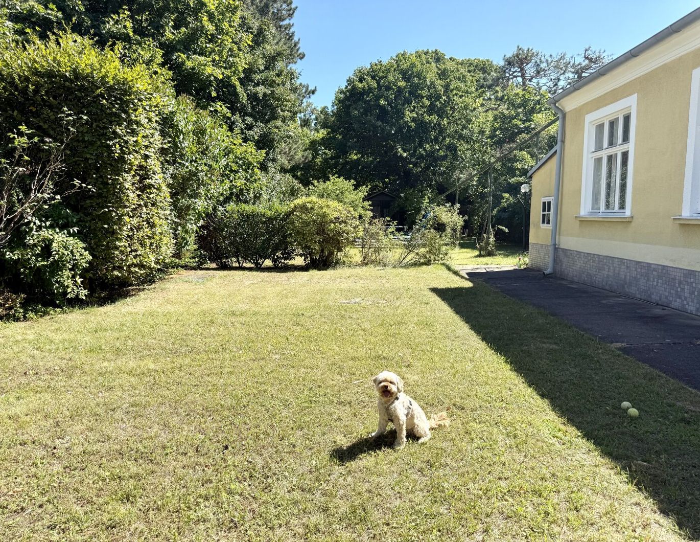 Altbauvilla - absolute Grünruhelage - 2 getrennte Wohneinheiten - 1.100 m² Garten mit Pool
