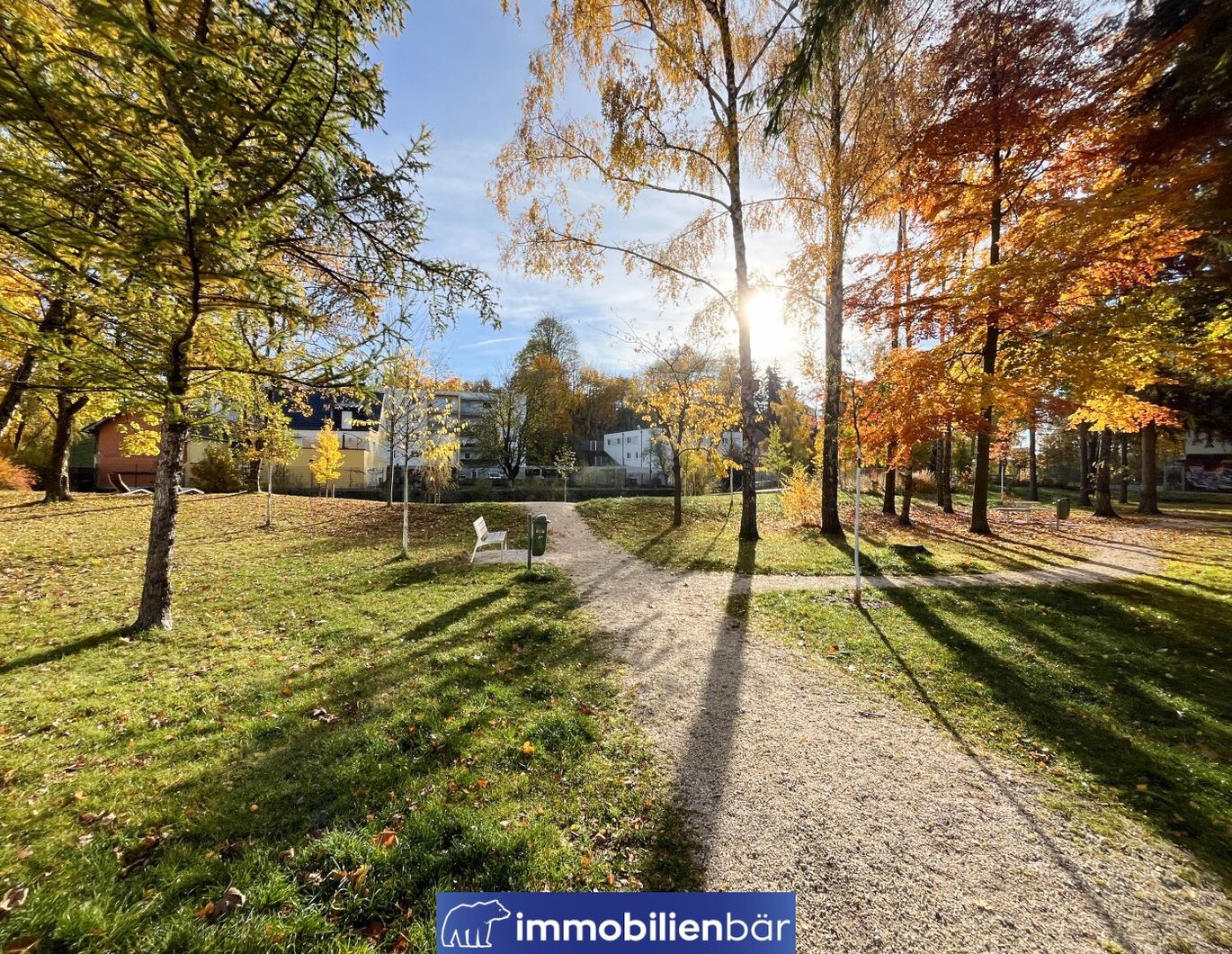 Lage, Lage, Grundriss! Sanierungsobjekt mit Suchtpotenzial - Ried von seiner besten Seite