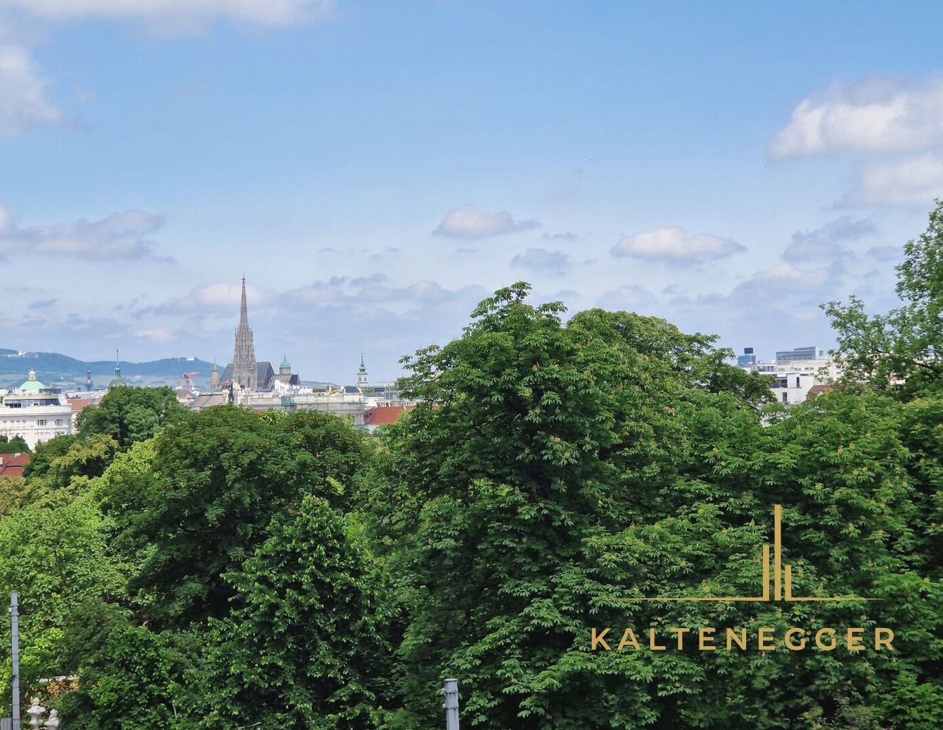 Exklusive Stadtwohnung mit Blick auf den Stephansdom und grüner Oase