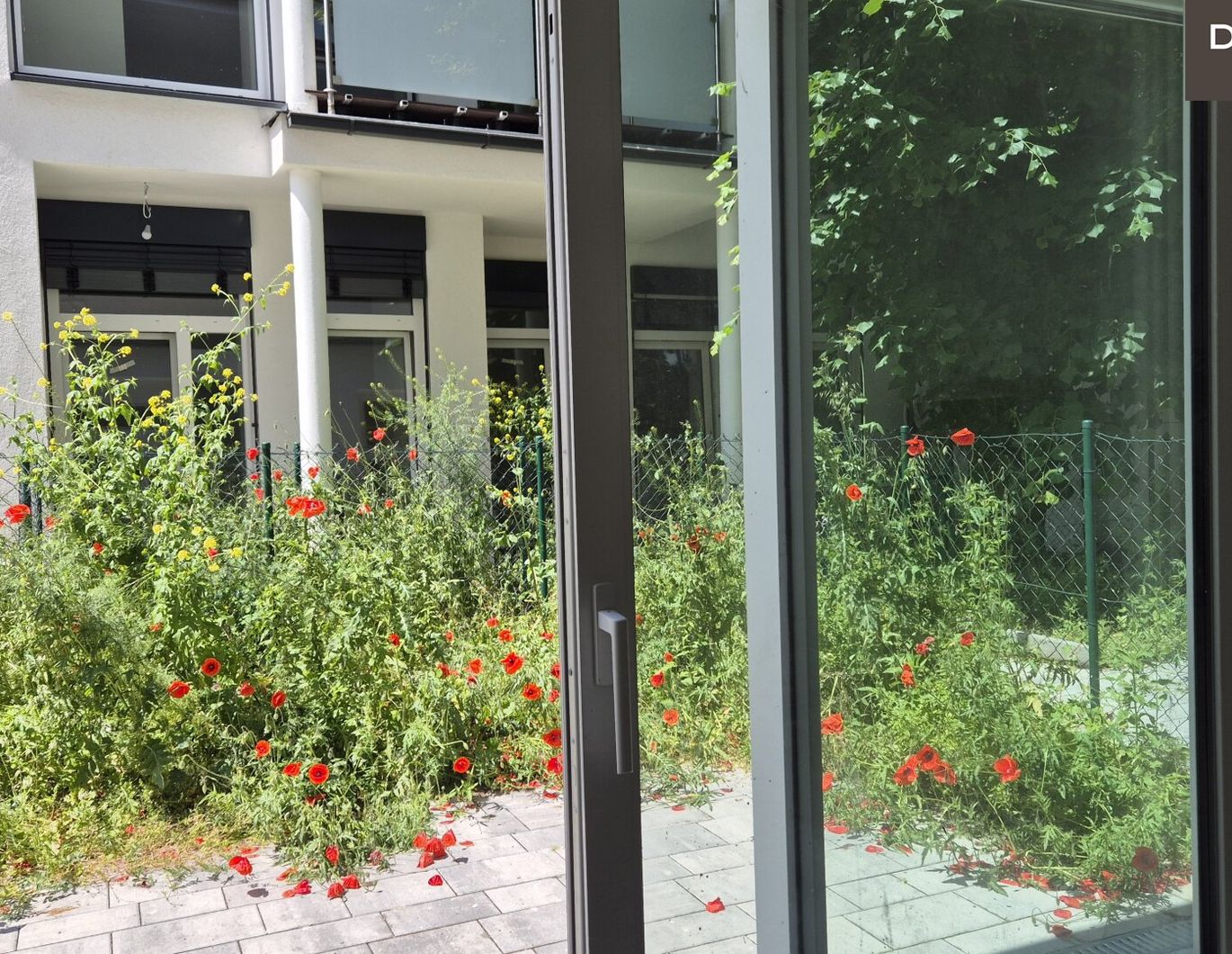 | GARTENWOHNUNG | HELLE RÄUME | 2 ZIMMER