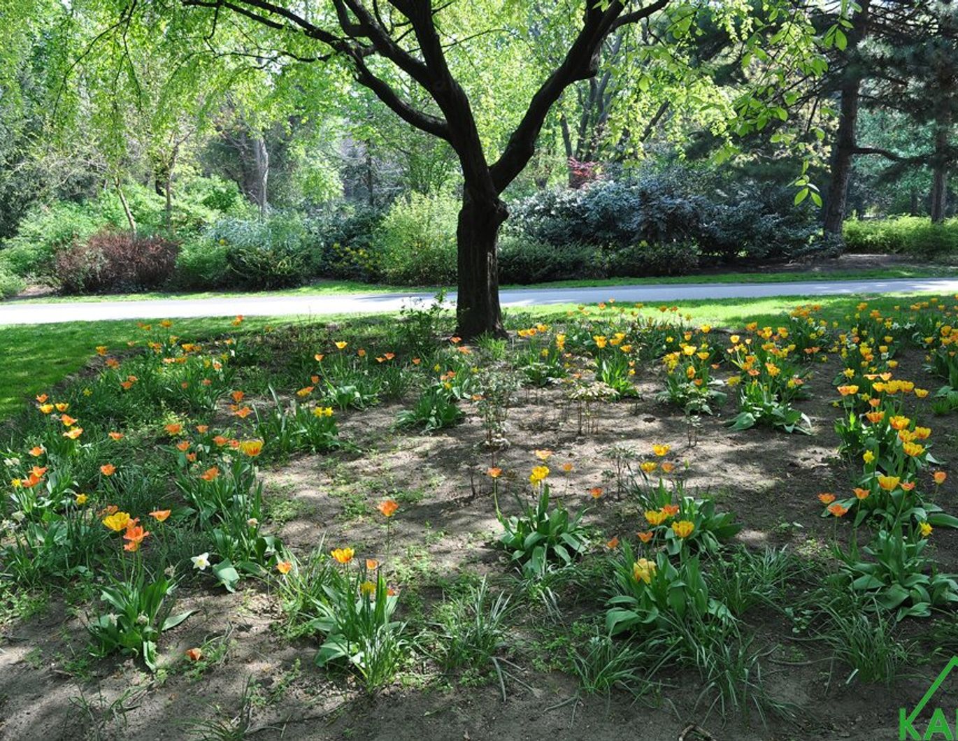 Moderne 2-Zimmer-Wohnung in 1100 Wien - Ihr neues Zuhause wartet!