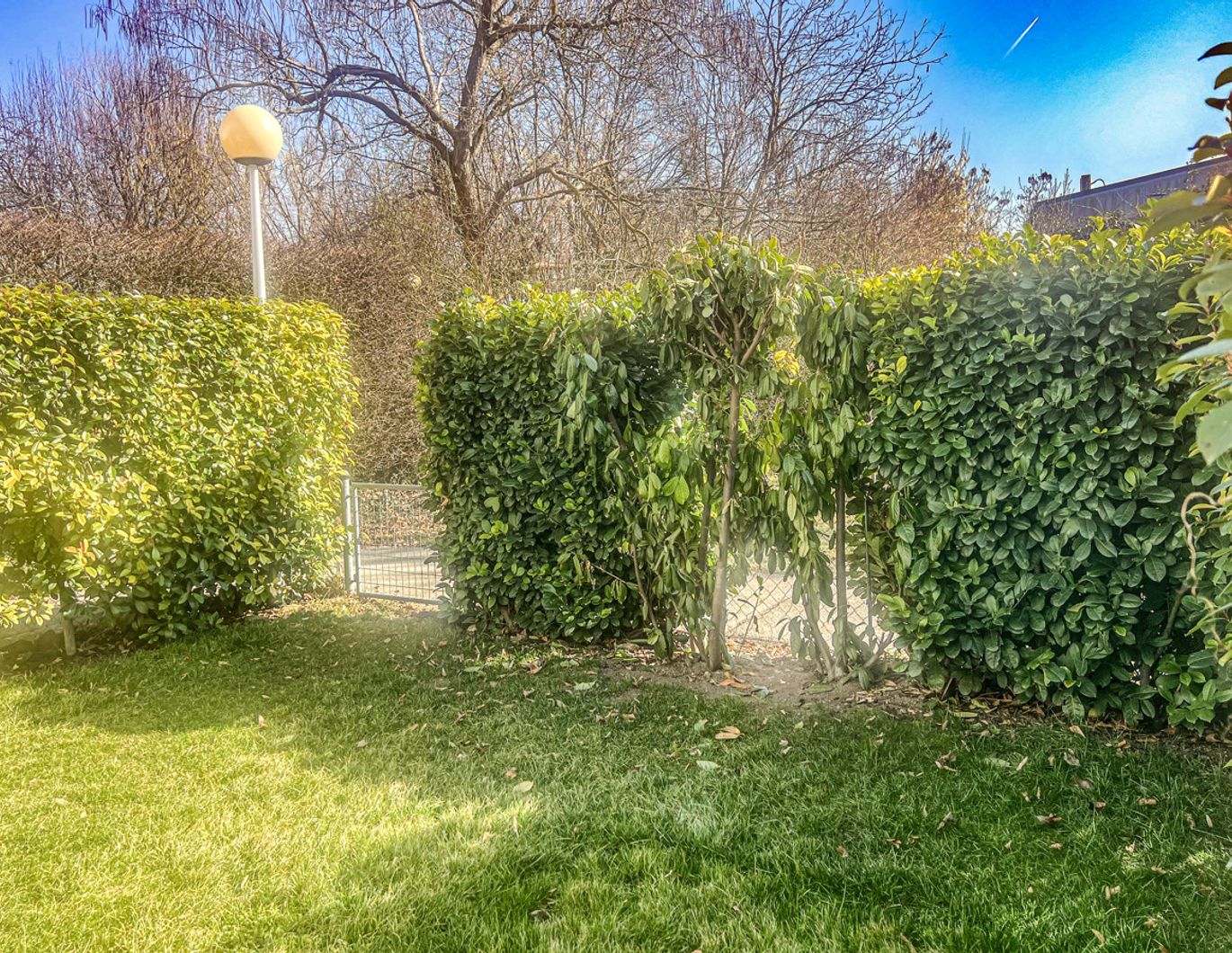 Schöne Wohnung mit Eigengarten am Golfplatz Süßenbrunn