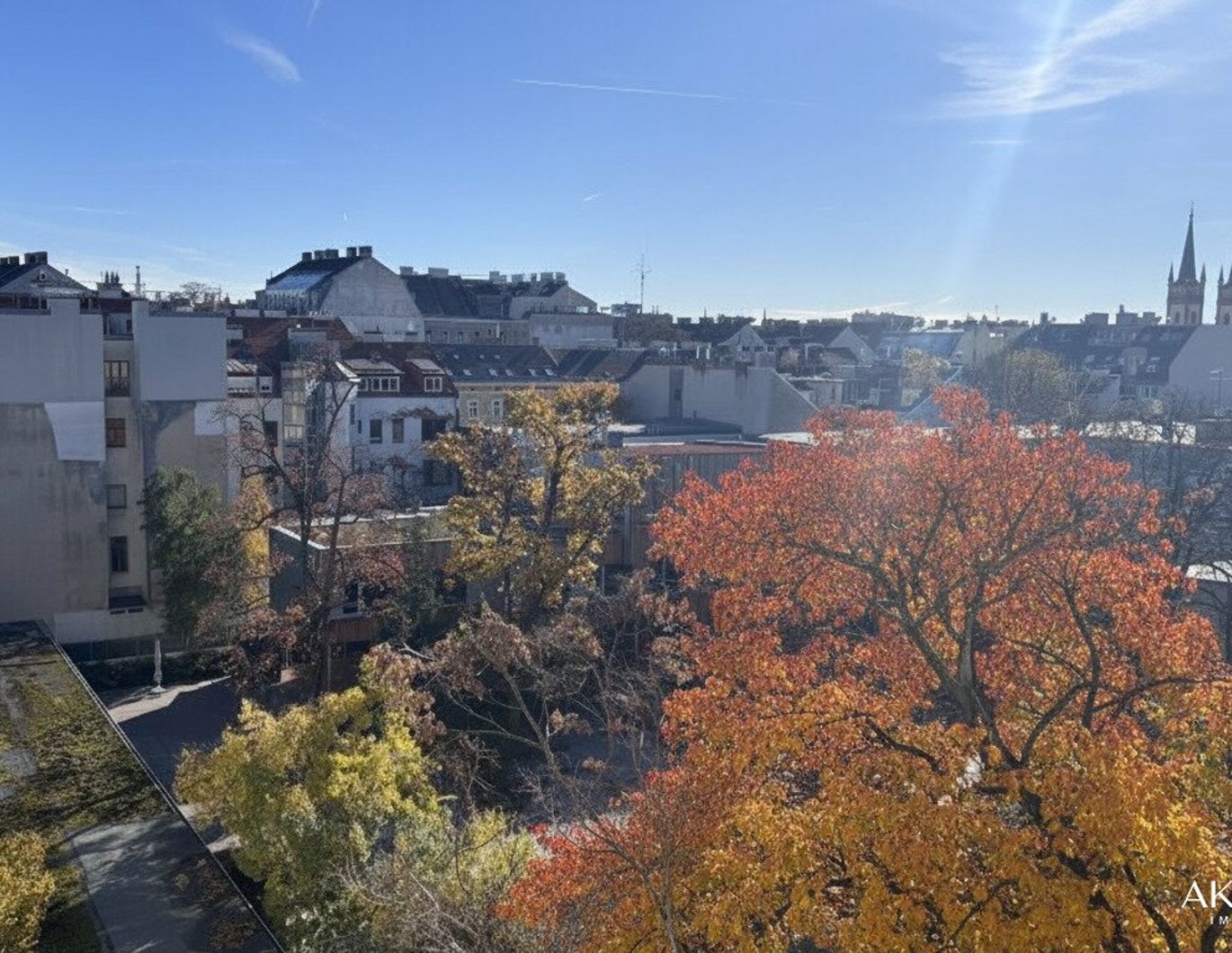 Grünblick mitten in der Josefstadt