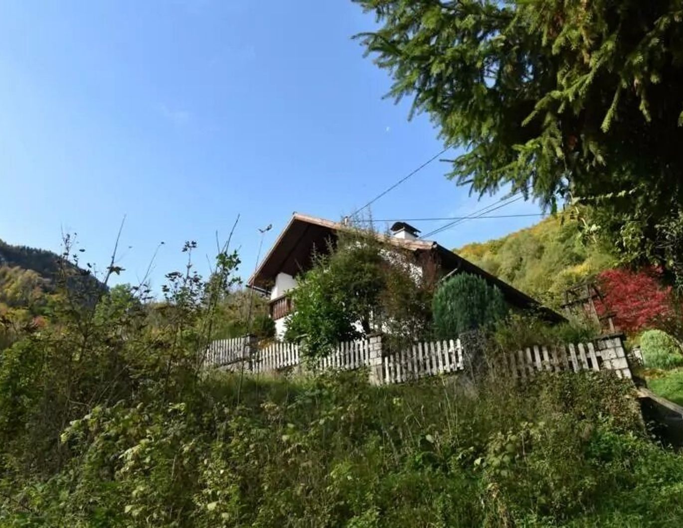 Zwischen See und Wald in Traunkirchen (Siegesbach)