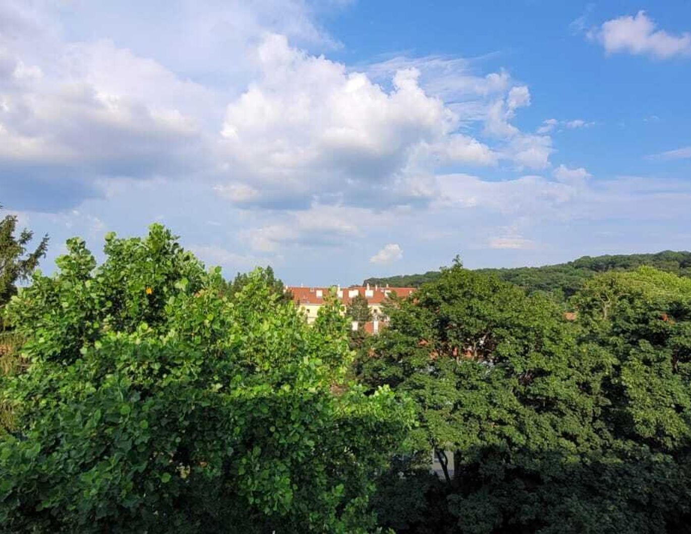 LUXURY MAISONETTE WITH TIGER GARDEN VIEW AND 2 GARAGE SPACES