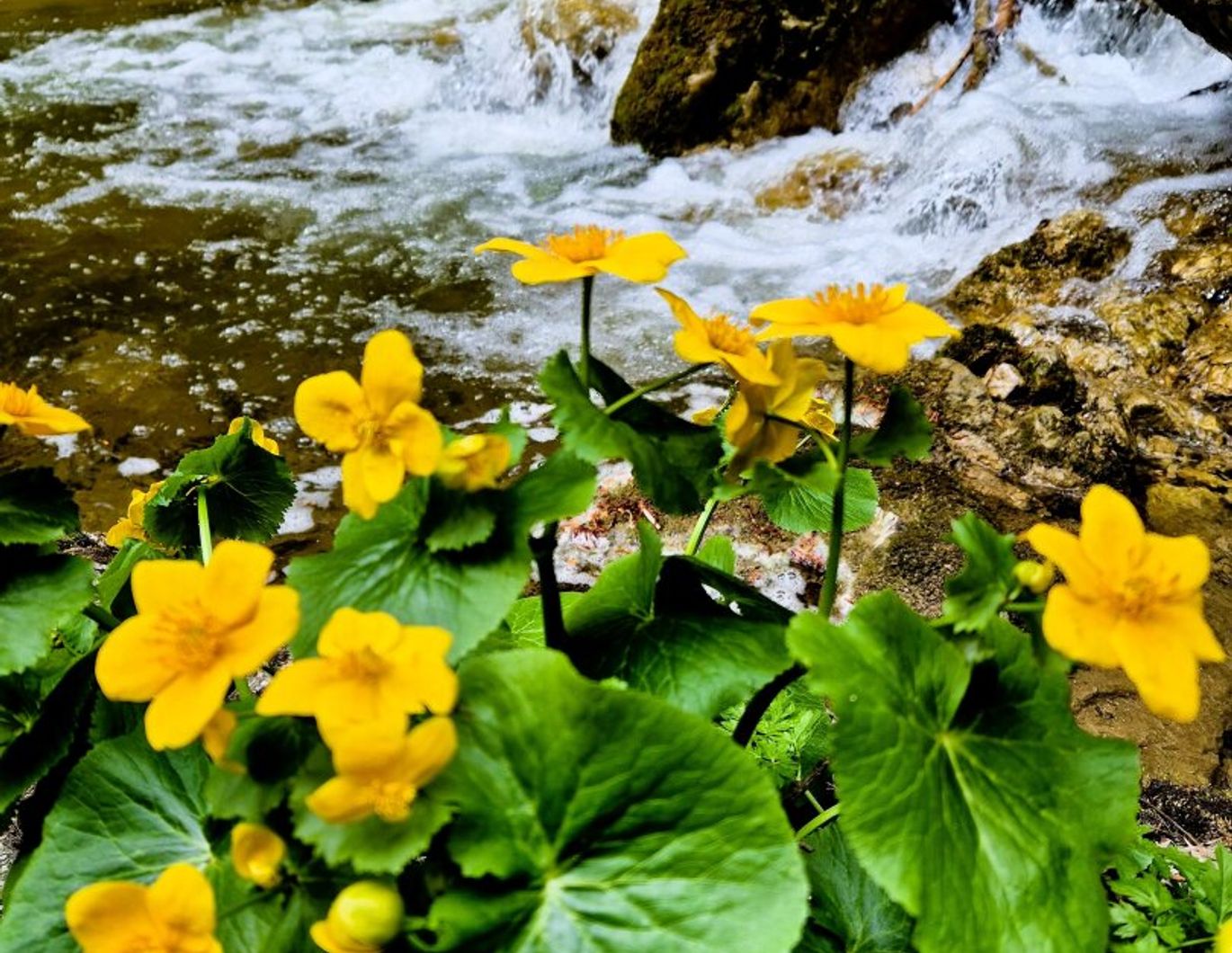 2-Zimmer-Gartenwohnung mit Tiefgaragenplatz nahe FH JOANNEUM!