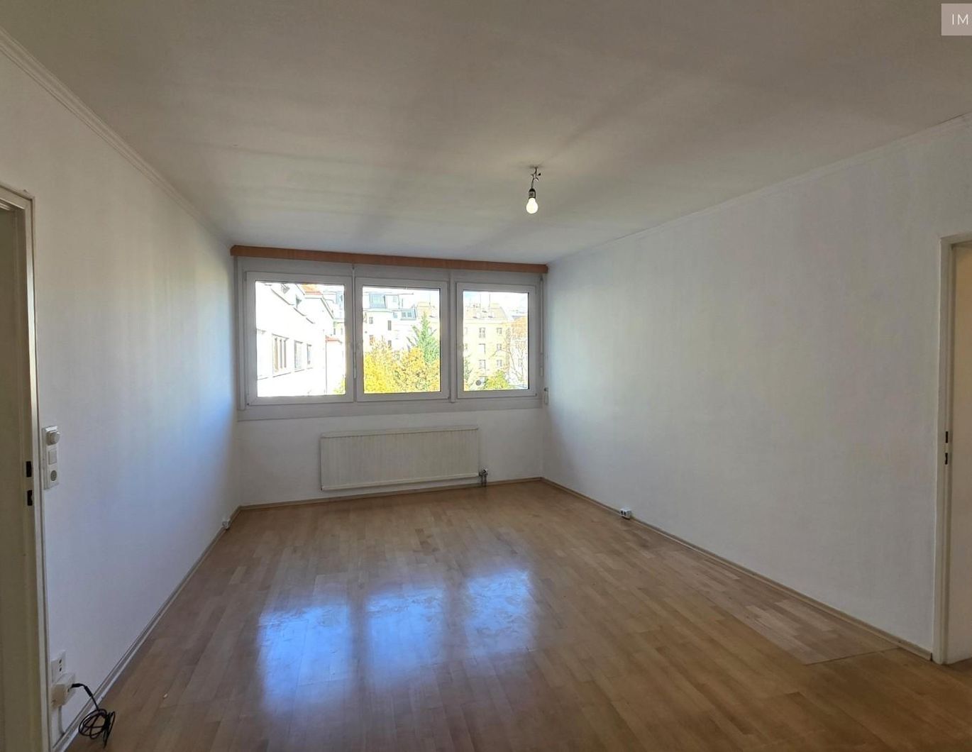 Linzer Straße/Schönbrunn: sanierungsbedürftige, ruhige 2-Zimmer Wohnung mit Grünblick
