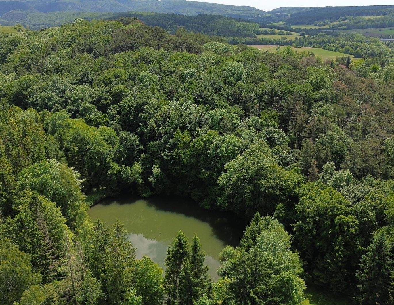 PRIVATE RETREAT NUR 30 MINUTEN VON DER OPER /// MIT EIGENEM PARK, WALD UND BADESEE