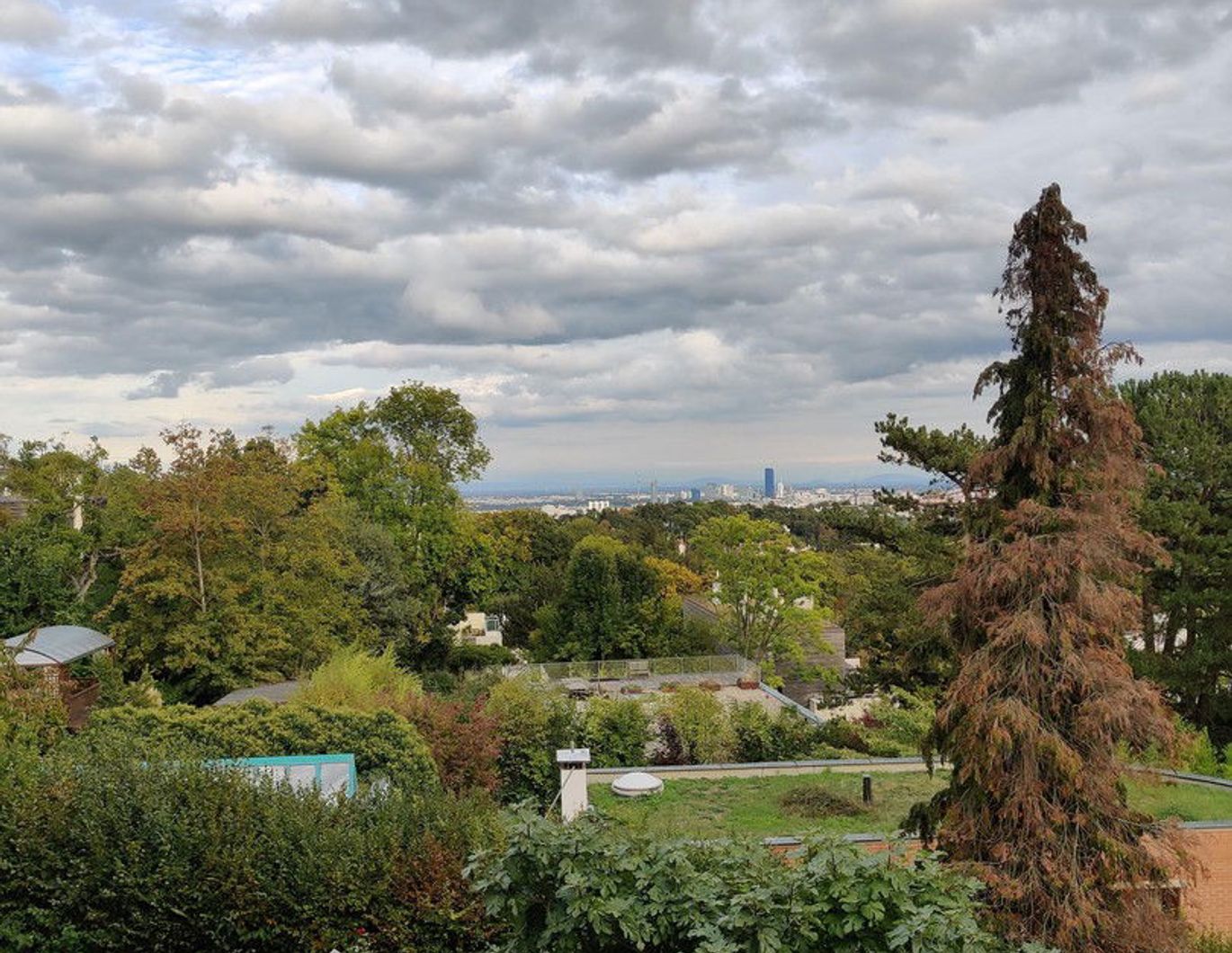 Wohnung in traumhafter Lage