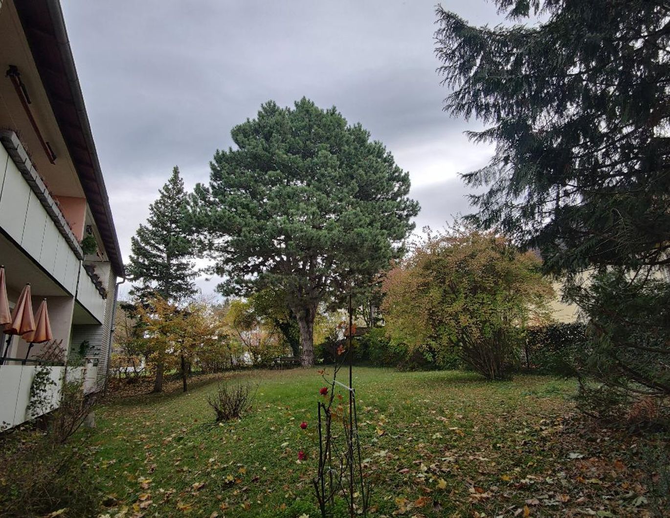 Schöne Helle 3-Zimmer Wohnung mit Loggia und Garten | Ruhelage