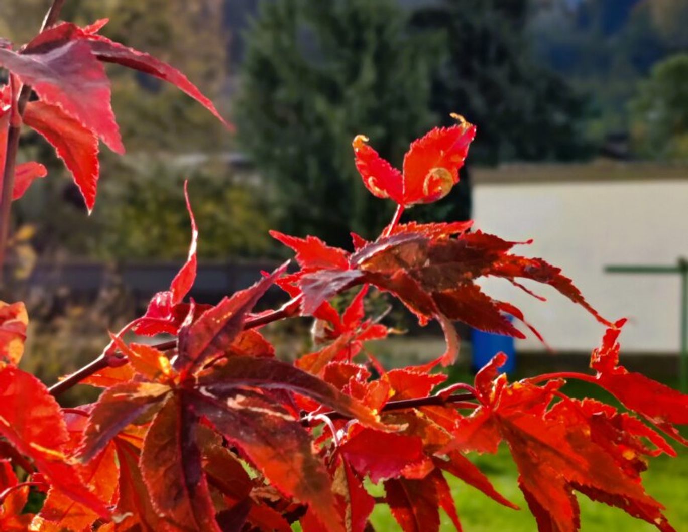 Mein eigenes Reich! 2 Zimmer-Gartenwohnung Volders