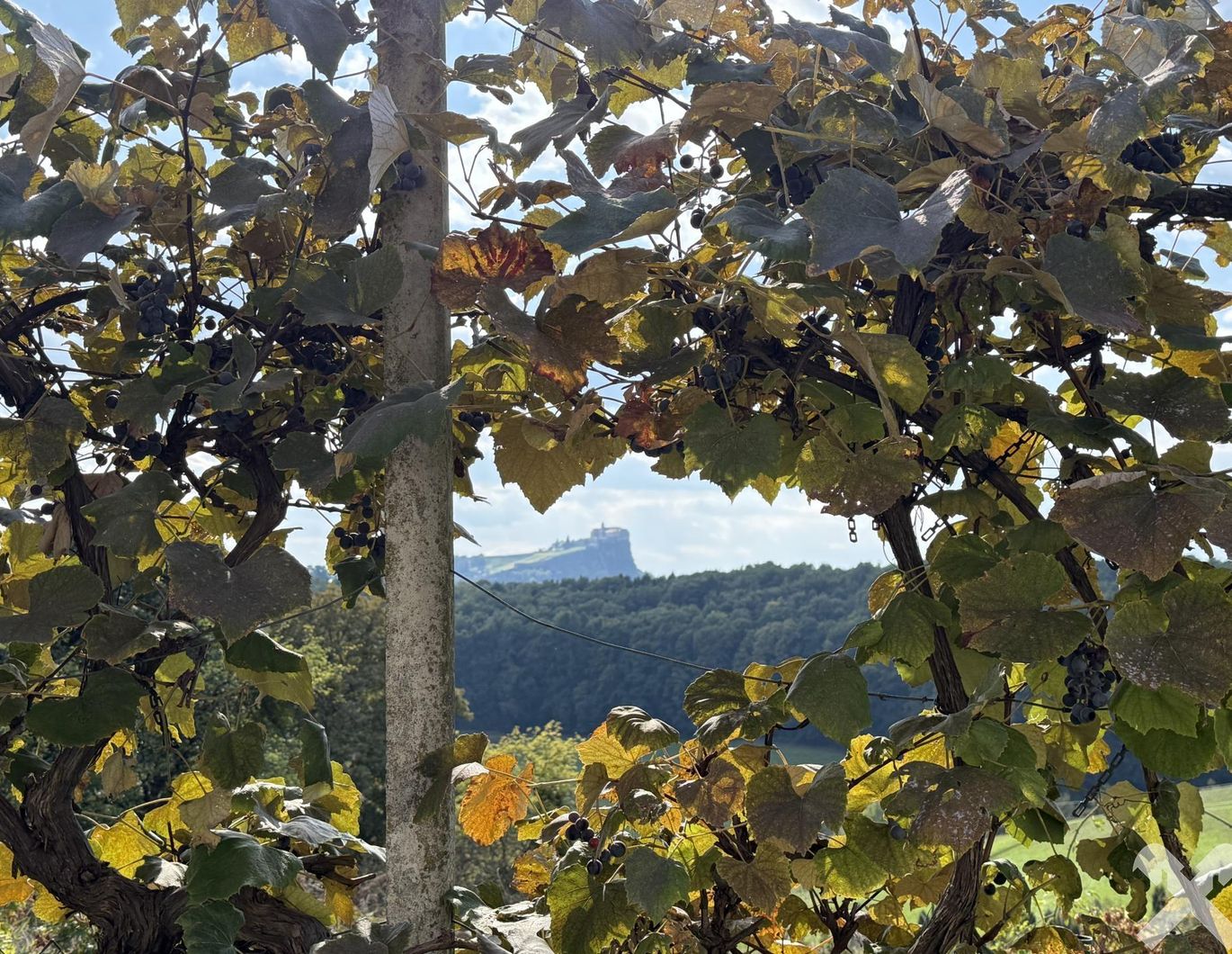 Ein Platz zum Ankommen- mit Blick auf die Riegersburg