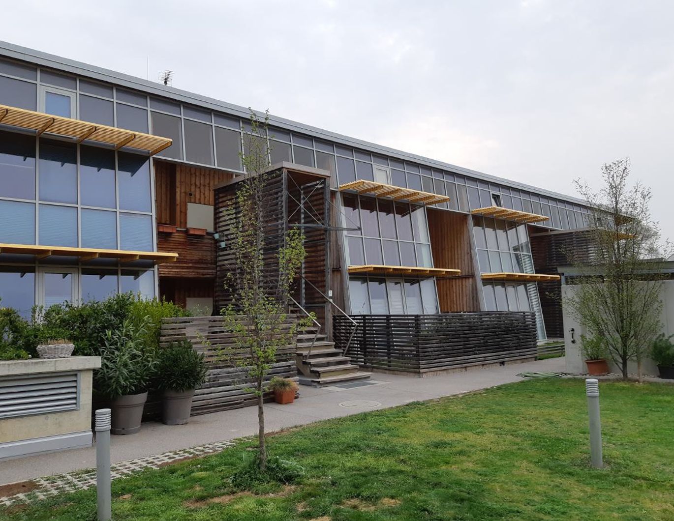 HOHENRUPPERSDORF I/1, geförderte Mietwohnung mit Kaufoption, EG TOP2, 1000/00010730/00001102