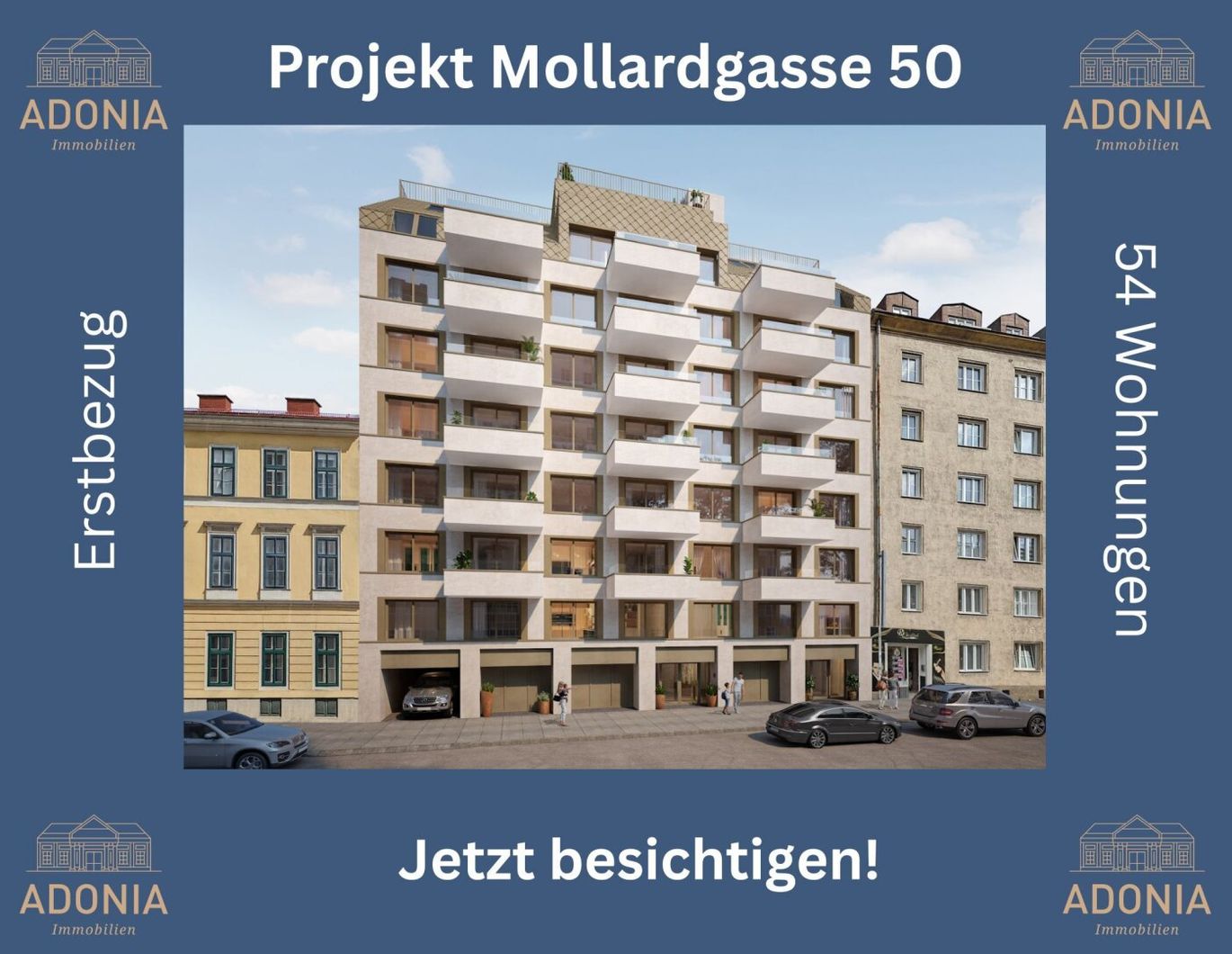 ++MOLLARD 50++ hochwertige 2-Zimmer-Wohnung mitten im Herzen der Stadt (3/8)